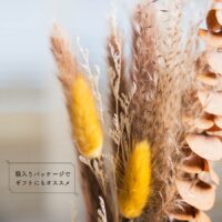 【販売終了】ガラスベース付ドライフラワー　Belle　EF-DF03